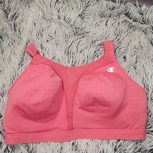 Champion HighSupport 40DD Sports Bra